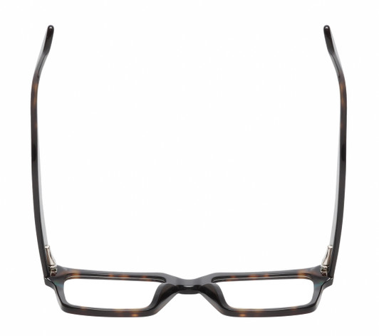 Top View of Reptile Leatherback Designer Single Vision Prescription Rx Eyeglasses in Brown Tortoise Havana Blue Crystal Unisex Rectangular Full Rim Acetate 52 mm