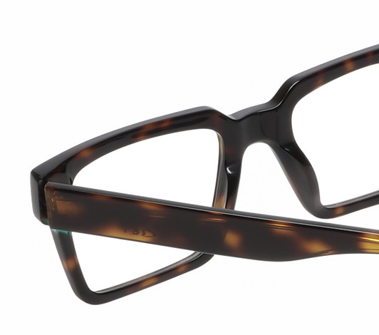 Close Up View of Reptile Leatherback Designer Bi-Focal Prescription Rx Eyeglasses in Brown Tortoise Havana Blue Crystal Unisex Rectangular Full Rim Acetate 52 mm