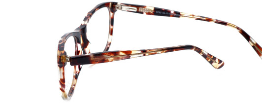 Calabria Splash SP62 Designer Eyeglasses in Brown :: Rx Single Vision