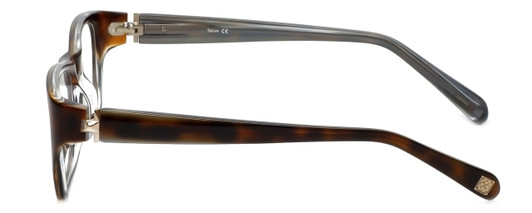 Argyleculture Designer Eyeglasses Tatum in Tortoise :: Progressive