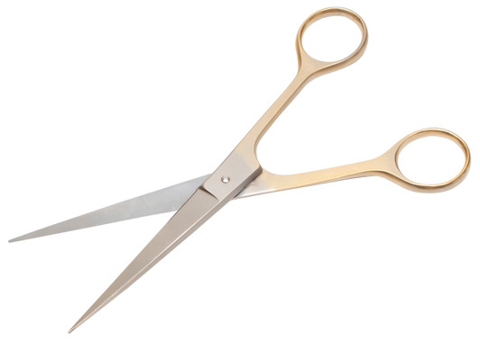 Speert Professional Handcrafted 6.5"Inch Hair Scissors (915) Hand made Germany