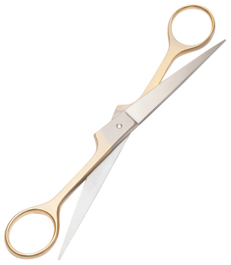 Speert Professional Handcrafted 6.5"Inch Hair Scissors (915) Hand made Germany