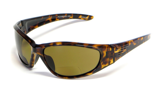 Gloss-Tortoise & Brown Lens