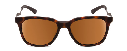 Smith Roam Classic Sunglasses in Matte Tortoise Gold & ChromaPop Polarized Brown