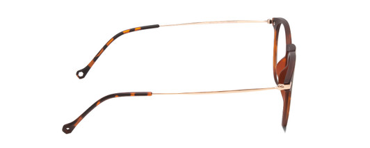 Side View of Ernest Hemingway 4845 Unisex Round Eyeglasses in Brown Auburn Tortoise Gold 48mm