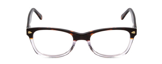 Front View of Ernest Hemingway H4906 Designer Reading Eye Glasses with Custom Cut Powered Lenses in Auburn Brown Tortoise Havana Clear Crystal 2 Tone/Gold Studs Unisex Cateye Full Rim Acetate 51 mm