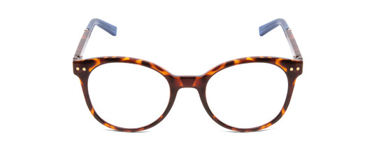 Front View of Kate Spade KAYLIN Designer Progressive Lens Prescription Rx Eyeglasses in Dark Brown Amber Tortoise Havana Ladies Round Full Rim Acetate 49 mm