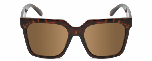 Front View of Kendall+Kylie COLLEEN Womens Sunglasses Amber Tortoise Havana Crystal/Brown 54mm