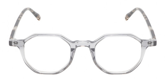 Front View of Reptile Softshell Designer Single Vision Prescription Rx Eyeglasses in Smoke Grey Crystal Tortoise Havana Unisex Octagonal Full Rim Acetate 45 mm