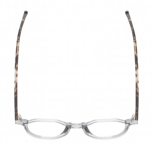 Top View of Reptile Softshell Designer Bi-Focal Prescription Rx Eyeglasses in Smoke Grey Crystal Tortoise Havana Unisex Octagonal Full Rim Acetate 45 mm