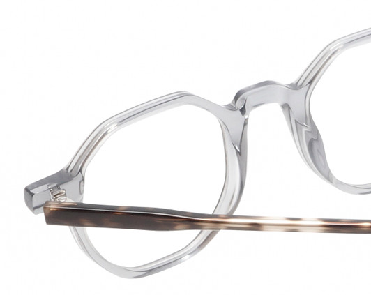 Close Up View of Reptile Softshell Designer Progressive Lens Prescription Rx Eyeglasses in Smoke Grey Crystal Tortoise Havana Unisex Octagonal Full Rim Acetate 45 mm