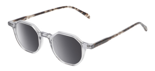 Profile View of Reptile Softshell Designer Polarized Sunglasses with Custom Cut Smoke Grey Lenses in Smoke Grey Crystal Tortoise Havana Unisex Octagonal Full Rim Acetate 45 mm