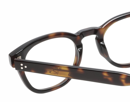 Close Up View of Reptile Chelidae Unisex Reading Glasses Amber Brown Tortoise Havana Crystal 49mm