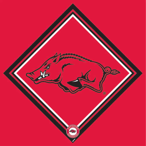 University of Arkansas Razorbacks Quality Micro-Fiber Cleaning Cloth Red Black