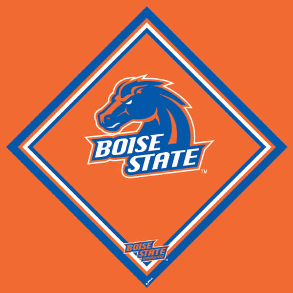 Boise State University Broncos Micro-Fiber Eyeglass/Sunglass Cleaning Cloth New
