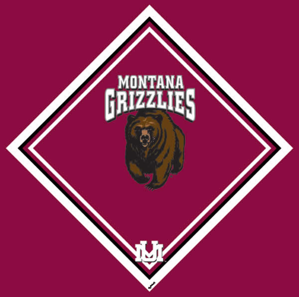 University of Montana Cleaning Cloth