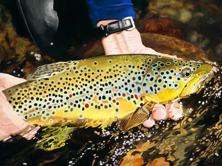 Catch & Release Artwork 240-68a-1 Micro Fiber Cleaning Cloth