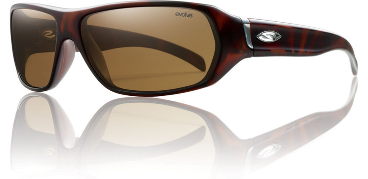 Tortoise & Polarized Brown Lens