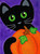 Cat and Pumpkin
