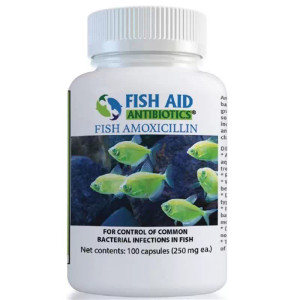100 tablets/250mg