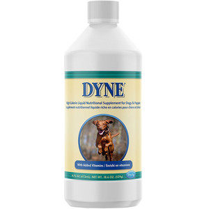 dyne high calorie supplement