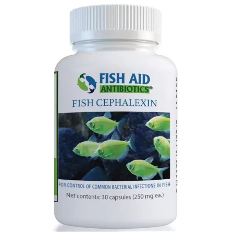 Cephalexin 250mg tablets