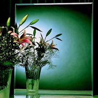 24" x 36" Beveled Wall Mirror