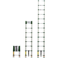 10' -16.5' ALUM TELS LADDER PRO