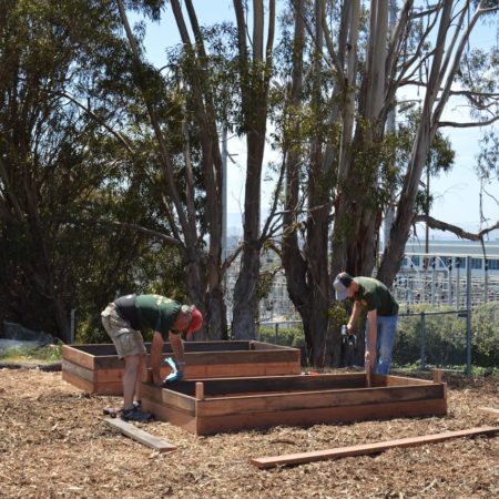 Building raised garden beds