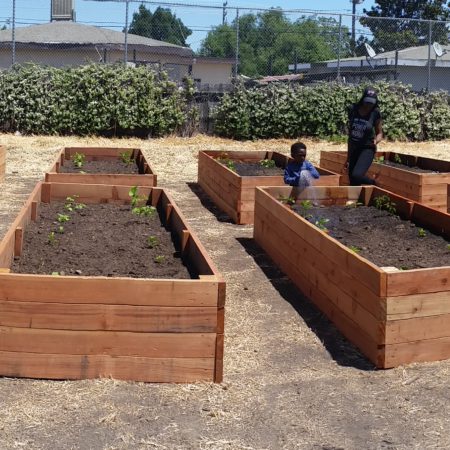 Flower and vegetable garden beds