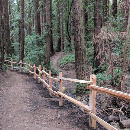 Wooden fence along Fern Ravine Trail