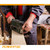 2-1/2" x 14" Aluminum Oxide Sanding Belt-10 pcs Grit 40, 60, 80,120, 180 | POWERTEC Woodwork Sanding Abrasive Accessories Wholesaler04