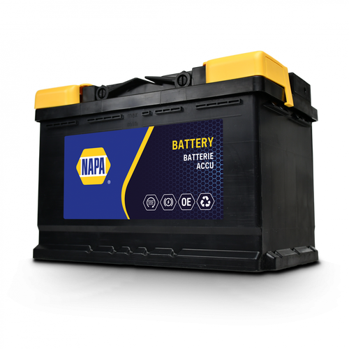 (202N) NAPA Battery 12v Car Battery with 5 Year Warranty