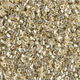 8 GM DBM1831 10/0 Delica: Silver DC GA