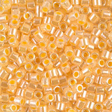 8g DBL0233 8/0 Delica: Crystal/Butterscotch ICCL