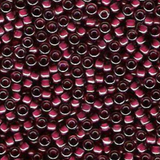 8.5g 2649 8/0 Miyuki Rocaille : Lavender/Magenta ICL