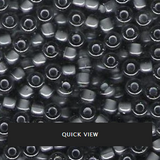 8.5g 1841 6/0 Miyuki Rocaille : Black/Grey ICL