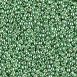 8.5g 4214 11/0 Miyuki Rocaille : Dk Mint Green DC GA