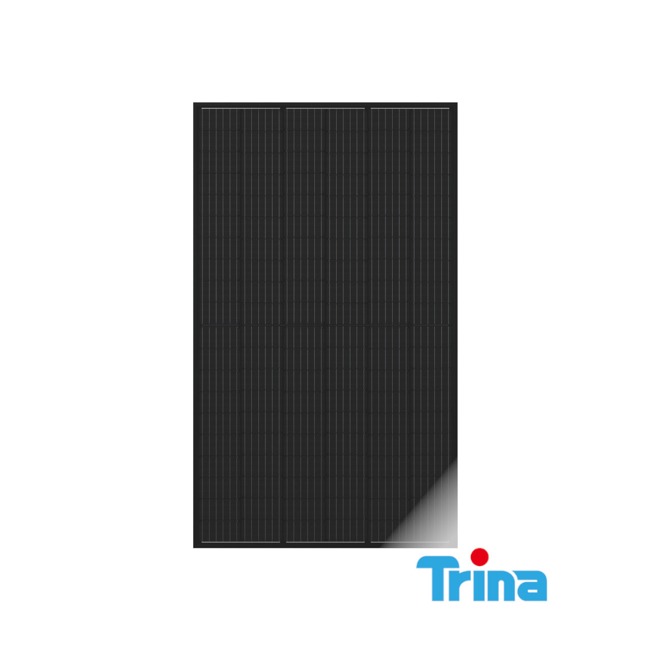 Trina - DE06X.05(II) - Front