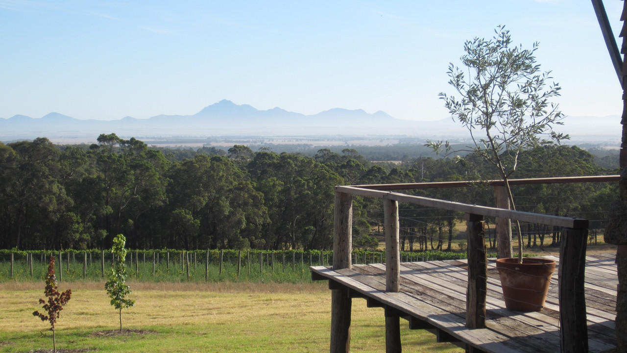 Mount Trio Vineyard