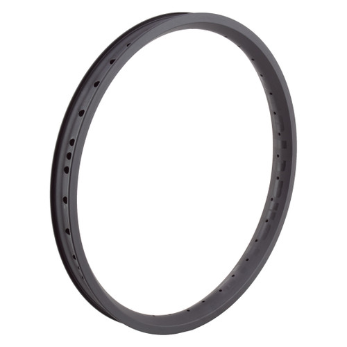 Alienation Vandal 20in BMX Rim - Light, Tubeless-Ready, G69 Material 470836