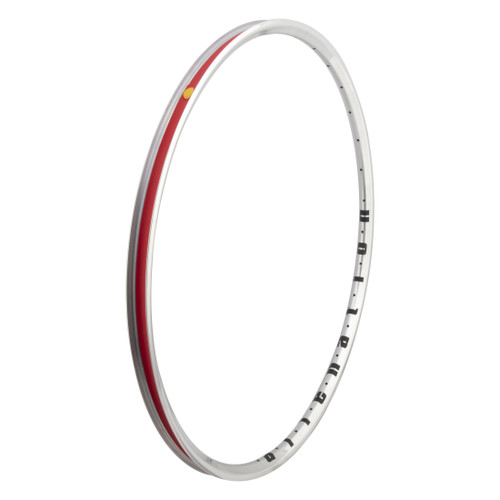 Alienation Mischief TCS 2.0 29in BMX Rim - Lightweight Aluminum, Tubeless Compatible 471074