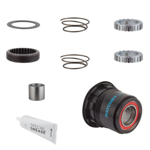 DT Swiss SRAM XD Ratchet Conversion Kit | Steel, 18T, 11-12s Compatibility HXYXXX00N5971S