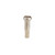 Spoke Nipple DT Swiss Brass OEM 2.0X16Mm Sl 55808