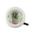 Flavorful Cruiser Candy Bicycle Bell Pineapple NB-PINE