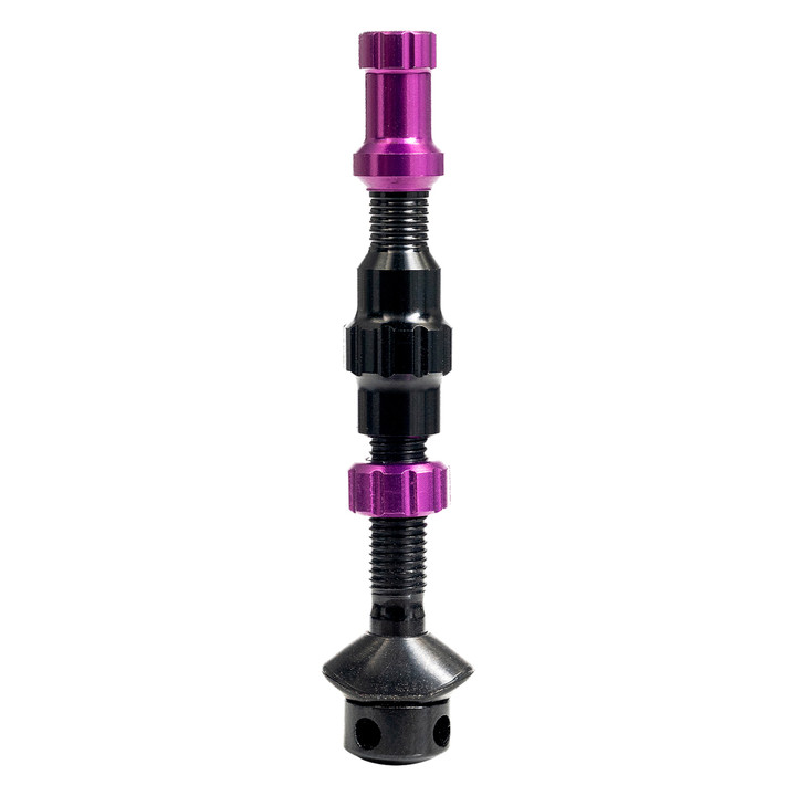 Stan's Tubeless Valve Stem Cap Color Kit Purple AS0297