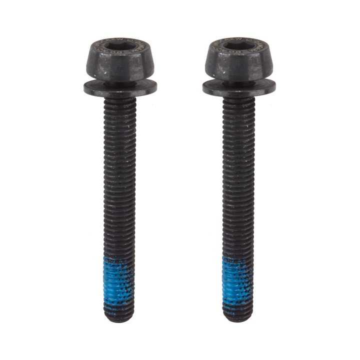 Campagnolo H11 Disc Caliper Mounting Screws - 34mm for 25-29mm Rear Frames AC18-DBSC34
