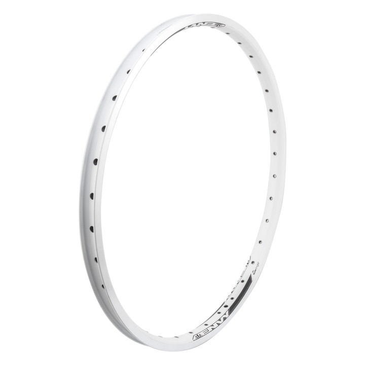 Envy RR 24-Inch BMX Rim - Durable Welded Aluminum, Eyeletted, Anodized Colors M84E05849605C