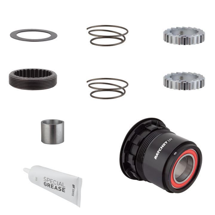 DT Swiss LN 18T Ratchet Freehub Body Upgrade Kit for SRAM XD Hubs HXYXXX00N3769S