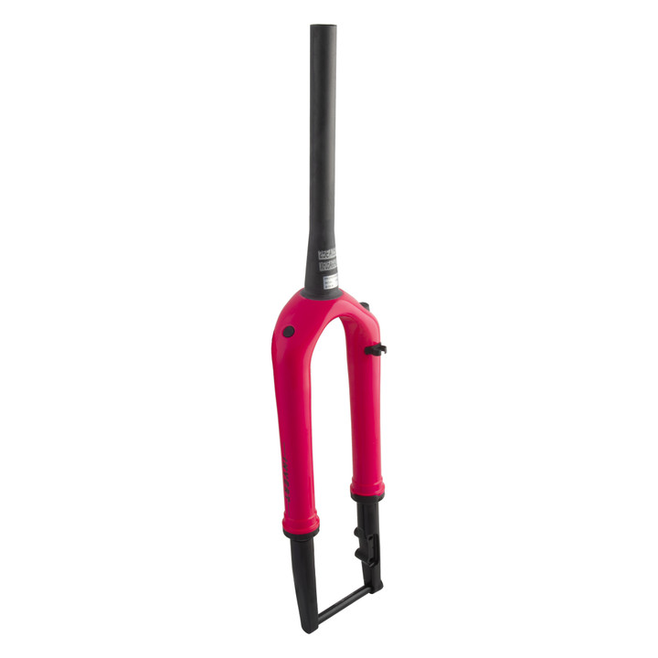 Cane Creek Invert Flamingo CS Air Fork 700c 30mm Pivot Disc BBG0007P